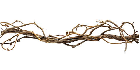 barbed wire isolated on white