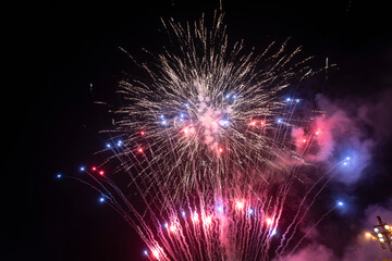 Fireworks blooming in the night sky