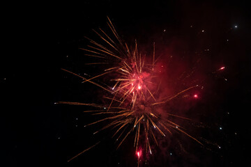 Fototapeta premium Fireworks blooming in the night sky