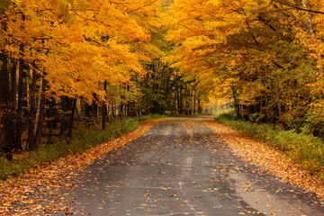 Looking back down the entrance road at Harrington Beach State Park, Belgium, Wisconsin in mid-October