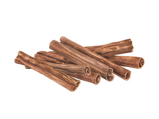 Cinnamon Sticks. Spice heap. Versatile culinary ingredient with their aromatic essence. For recipes, both sweet and savory. Cooking and baking seasoning. Watercolor illustration of winter spices