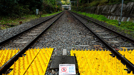 KYOTO various 3
