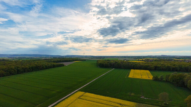 Aerial view of a green field with yellow flowers and trees in a rural area 4K FPV drone view Hanover Seelze Germany