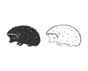 Hedgehog shadow black silhouette. Vector line icon of forest animal