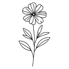 This is an illustration of flowers in a simple and modern line art style.