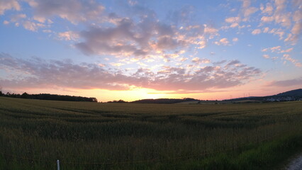 Plants, flower fields and animals in Hesse 