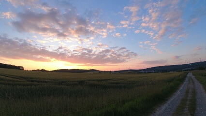 Plants, flower fields and animals in Hesse 