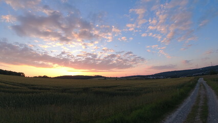 Plants, flower fields and animals in Hesse 