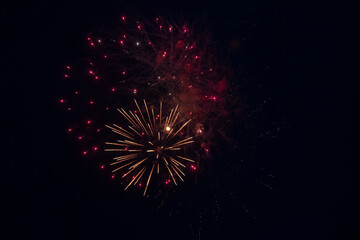 Fireworks blooming in the night sky