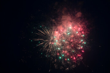 Fireworks blooming in the night sky
