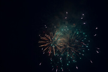 Fototapeta premium Fireworks blooming in the night sky
