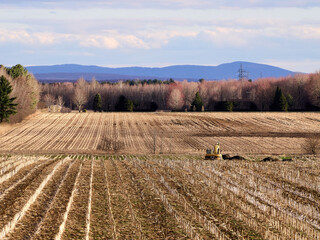 We are getting ready for a new season.