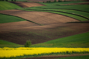 Fototapeta premium Krajobraz Polski 