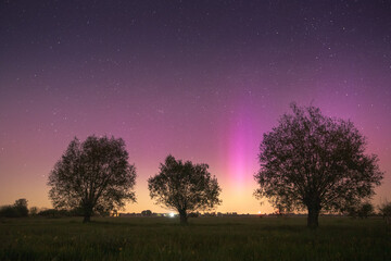 Zorza polarna nad Polską  © Sieku Photo