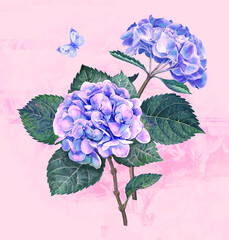 Watercolor hydrangea flowers bouquet, butterflies and leaves illustration isolated on pink background detailed realistic botanical greeting invitation wedding card in violet, blue color