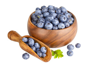Organic blueberry in natural wooden bowl and scoop. Fruity Berry still life. Healthy eating, fresh blueberries green leaves harvest isolated. PNG.