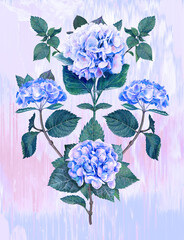 Watercolor hydrangea flowers bouquet, blossom and leaves illustration isolated on artistic pastel background botanical greeting card in violet, blue color