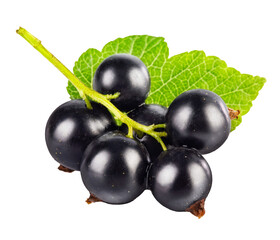 Berries black currant with green leaf. Fresh fruit, isolated. PNG.