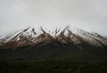 Snow capped Mount Taranaki above lush green bush forest, different mountain vegetation zones on a...