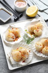 Raw scallops with spices, dill, lemon zest and shells on grey marble table, above view