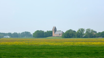 Fototapeta premium View of a spring landscape with a yellow flowering agricultural field and the 14th century church in Wanswert Friesland The Netherlands on on the horizon.