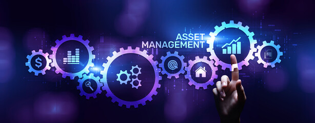 Asset management Financial Property Digital software assets SAM DAM.