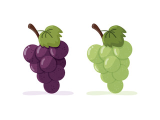 Set of bunches of grapes. Purple and green grapes
