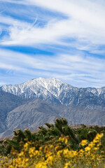 California Snowy Mountain 