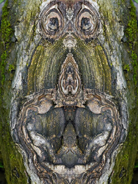 Baumgeist