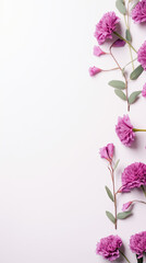 Naklejka premium Pink rose flovers in frame on white background.