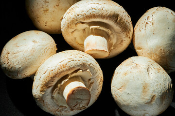 White mushroom. Also called the common or Paris mushroom, it is a species of basidiomycete fungus of the Agaricales family native to Europe and North America.