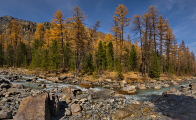 Russia. The South of Western Siberia, the Altai Mountains. Autumn view of the valley of the Aktru River, the source of which is located at the foot of the glacier on the North Chui mountain range.