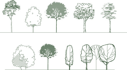 Vector silhouette illustration sketch, detailed image of a unique abstract tree plant design for completeness of the image