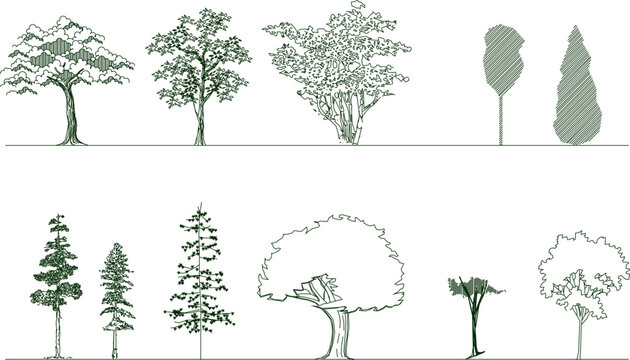 Vector silhouette illustration sketch, detailed image of a unique abstract tree plant design for completeness of the image