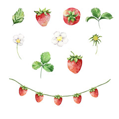 Watercolor strawberry bush with flowers and butterfly