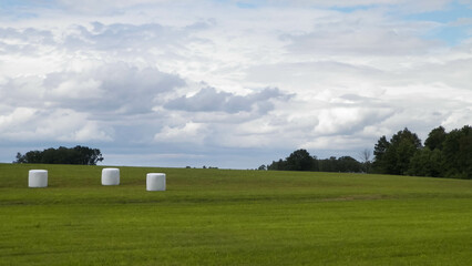 Fototapeta premium Harvest bales on a green field. End of the summer.