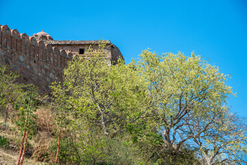 Fototapeta premium A beautiful Kumbhalgarh Fort stands on a hill with a pink flower in the foreground