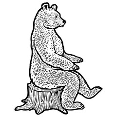Bear sits on tree stump sketch engraving PNG illustration. T-shirt apparel print design. Scratch board imitation. Black and white hand drawn image.