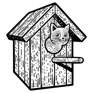 recommend clip art: Cat in birdhouse sketch engraving PNG illustration. T-shirt apparel print design. Scratch board imitation. Black and white hand drawn image.