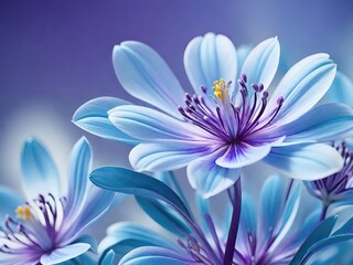 Obraz premium blue flowers, purple flowers, floral photography, artistic flower arrangement