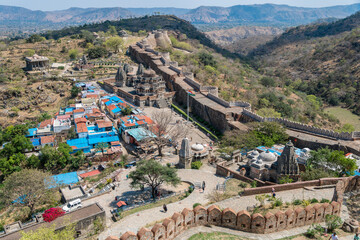 A beautiful Kumbhalgarh Fort stands on a hill with a pink flower in the foreground