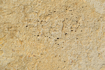 Shell rock background