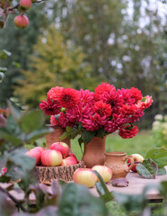 A bouquet of red flowers in a jug and a basket with apples on a wooden table in the garden © Elen Nika