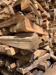 leña de eucalipto secando al sol vista vertical