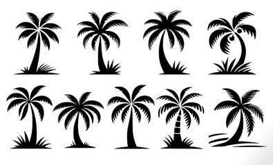 Tropical palm trees vector collection. palm or coconut trees set on white.
