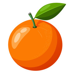 orange fruit vector illustration