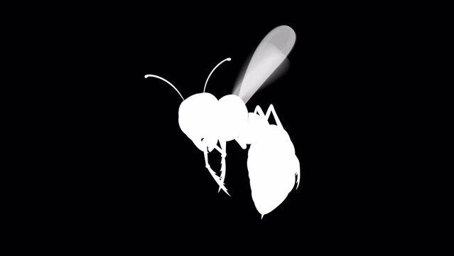 Animation of a white silhouette of a wasp or bee on a transparent background, alpha channel