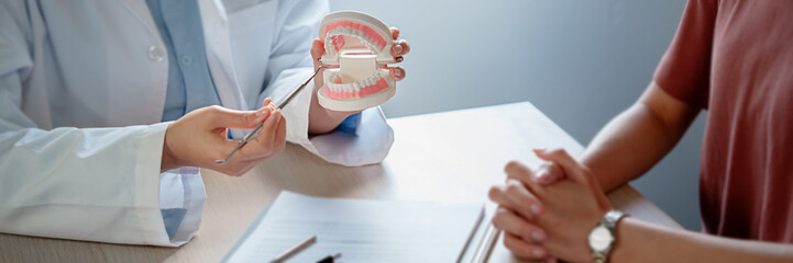 dentist holding tooth model White healthy tooth Doctor doing dental treatment .