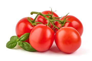Tomato branch. Ripe fresh tomatoes, close-up, isolated on white background.