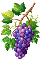 bunch of grapes with leaves